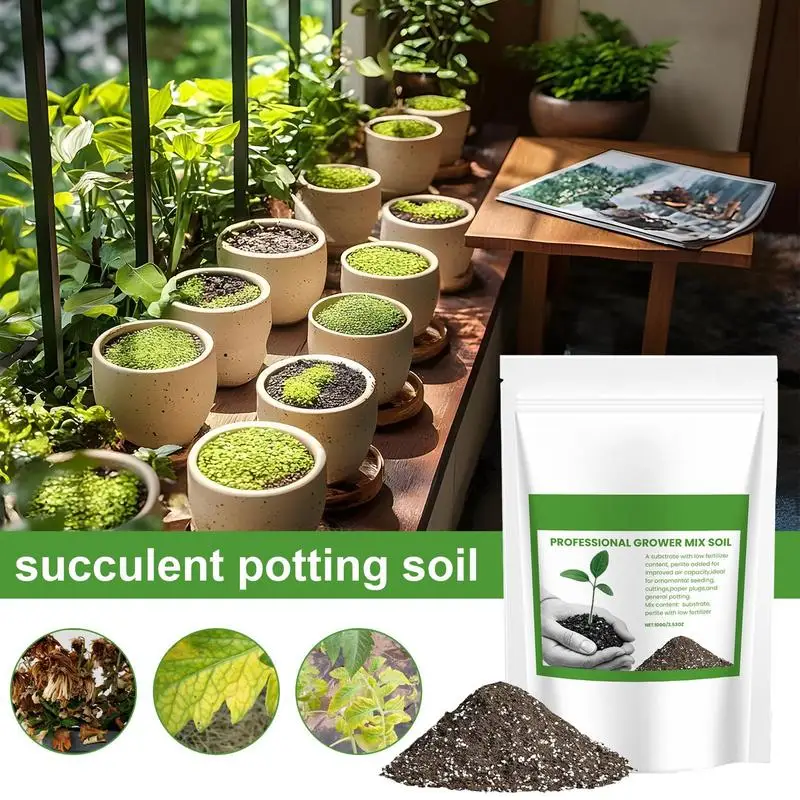 Gleba do sukulentów, mieszanka – Us Bonsai Garden recenzja i cena