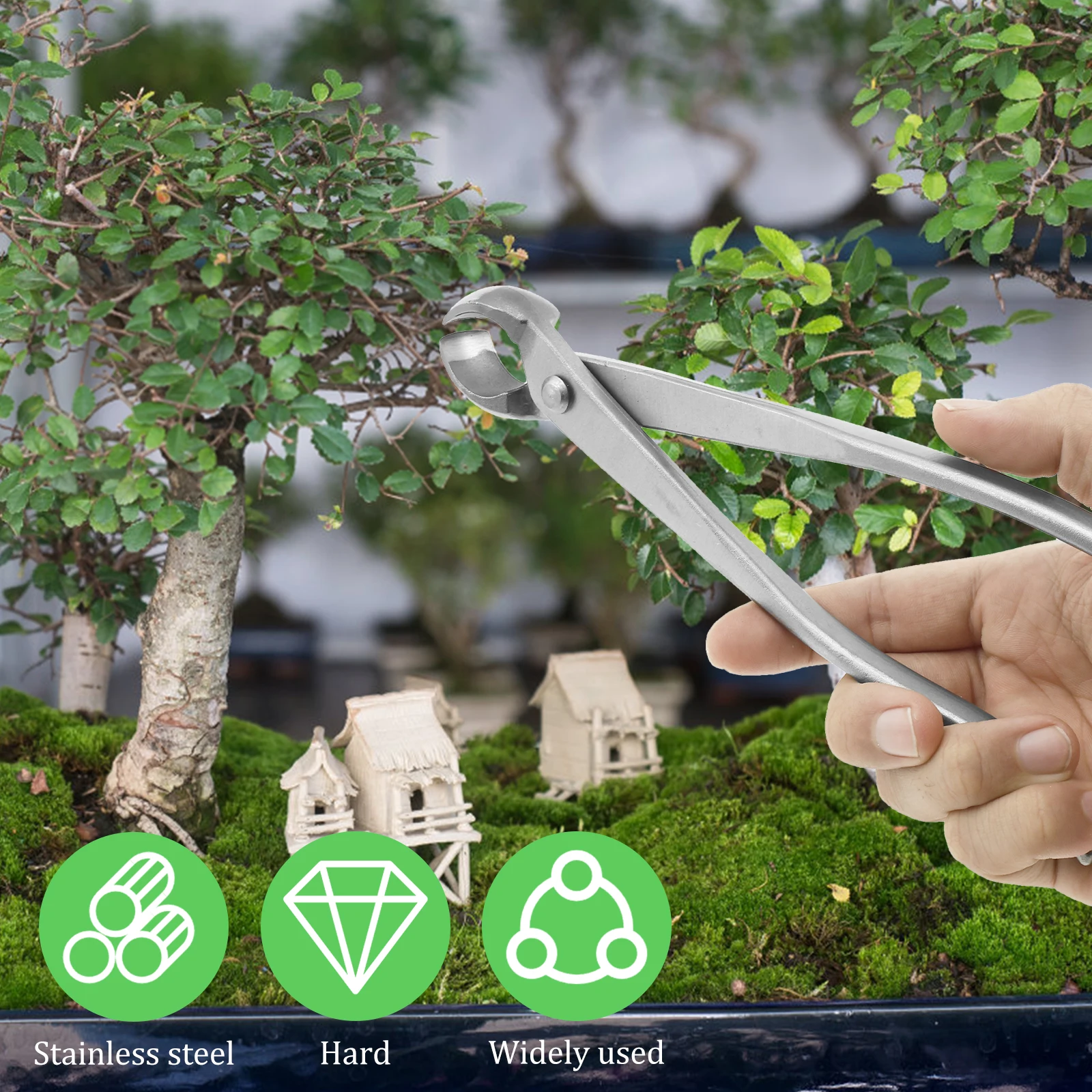 Zestaw do pielęgnacji bonsai z – Bonsai Garden Timings recenzja i cena