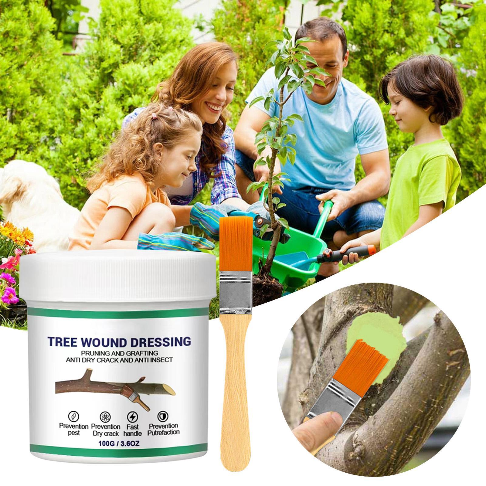 100g Uszczelniacz do ran drzew – Us Bonsai Garden recenzja i cena